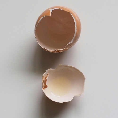 Can Dogs Eat Egg Shells?